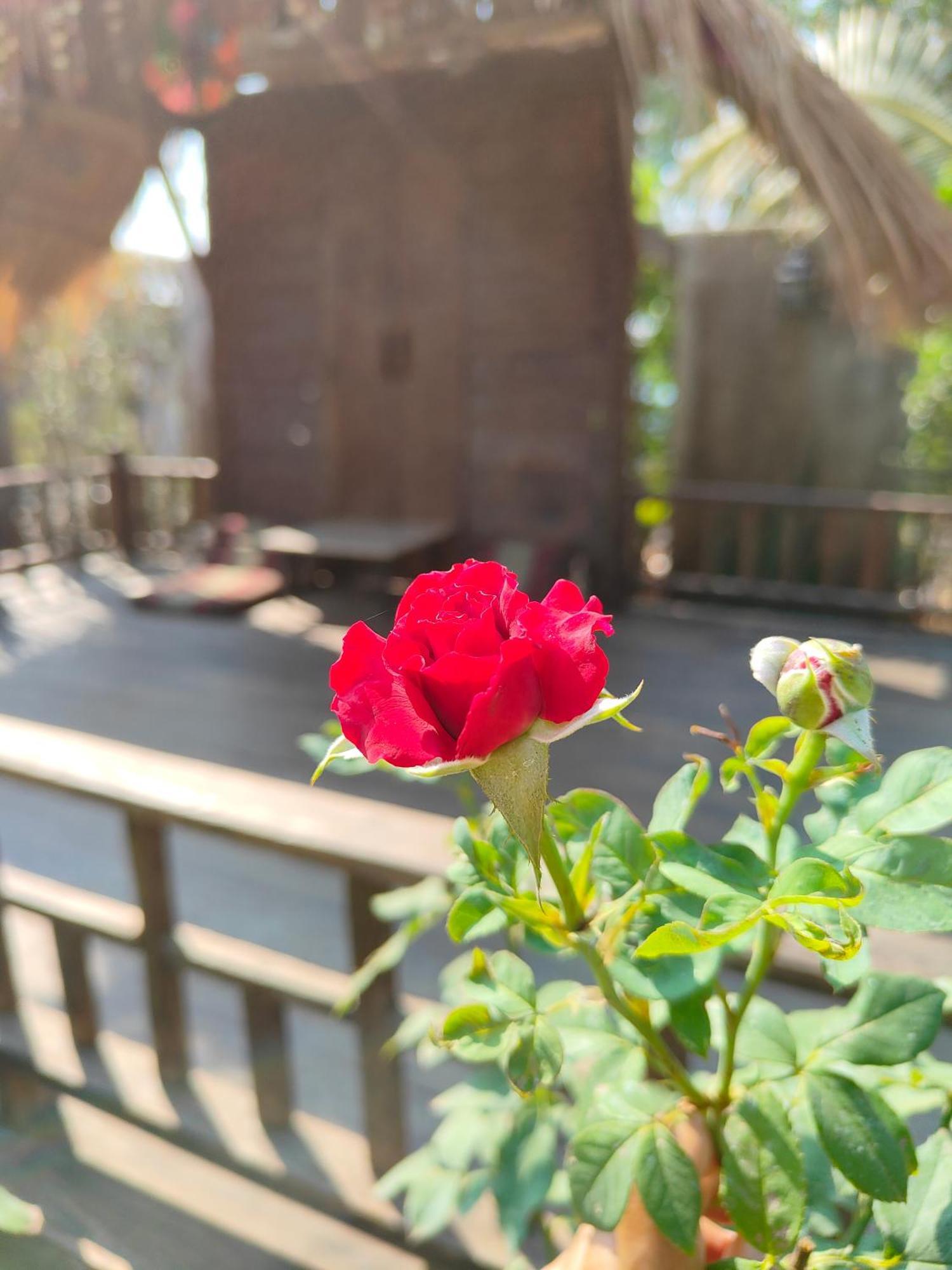 Smilingface Guesthouse Sukhothai Ngoại thất bức ảnh