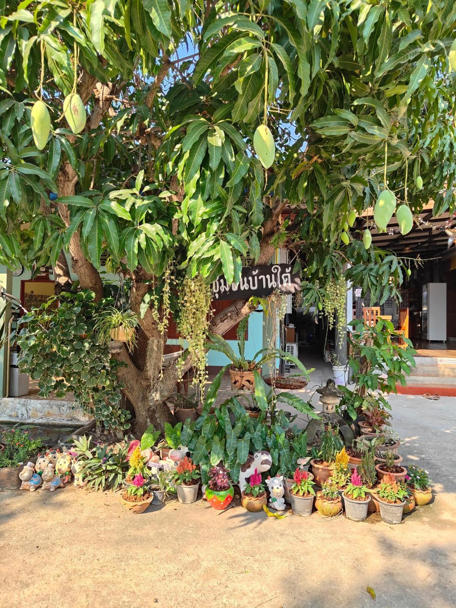 Smilingface Guesthouse Sukhothai Ngoại thất bức ảnh