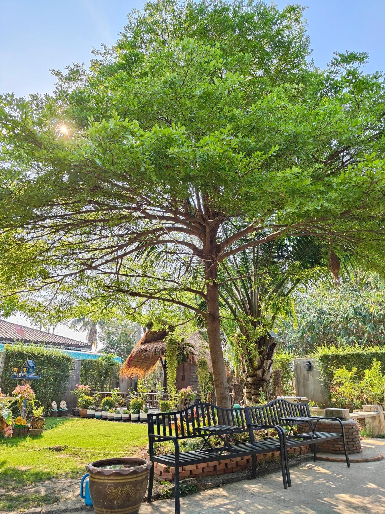 Smilingface Guesthouse Sukhothai Ngoại thất bức ảnh